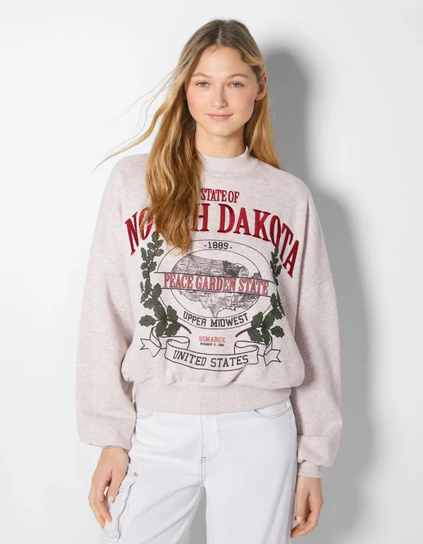 Sudadera print bordado-BERSHKA Shop